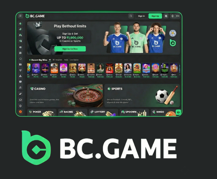 Understanding and Resolving BC.Game US Login Problems -220220510